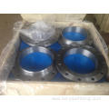 BL blind stainless steel RF flanges